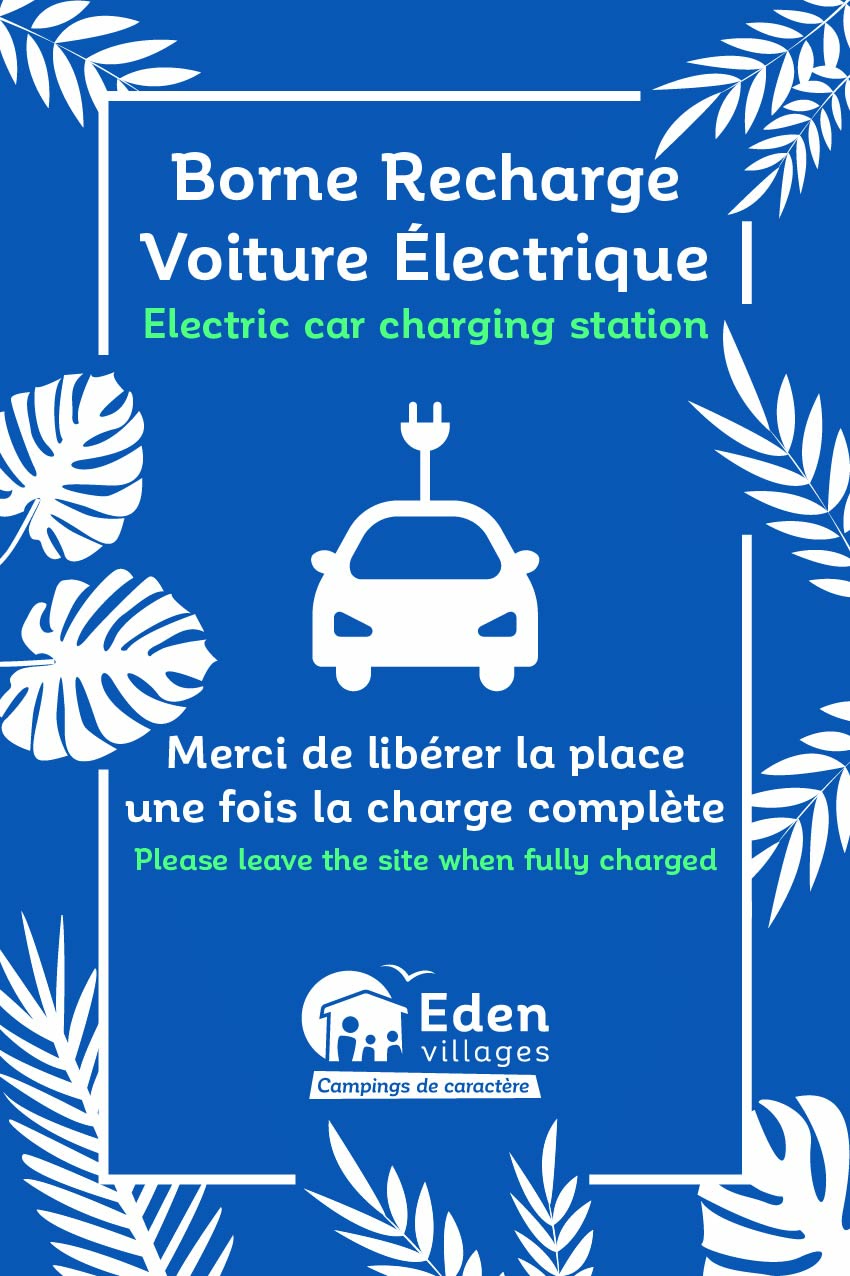 Borne_de_recharge_fleurs_30x45cm