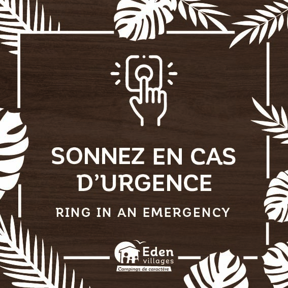 Interphone_urgence_fond_bois_2_fleurs_20x20cm