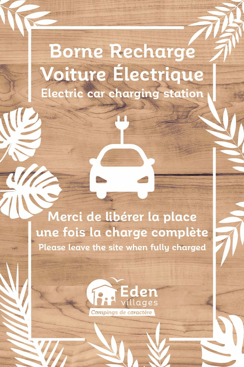 SITE_Borne_de_recharge_fleurs_fond_bois_1_30x45cm