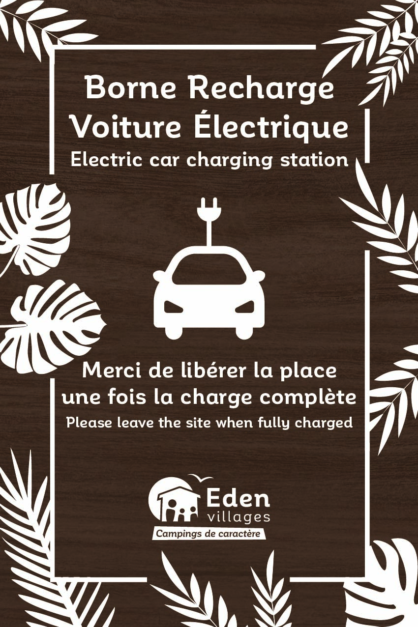 SITE_Borne_de_recharge_fleurs_fond_bois_2_30x45cm