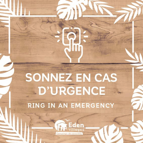 SITE_Interphone_Urgence_fond_bois_1_20x20cm