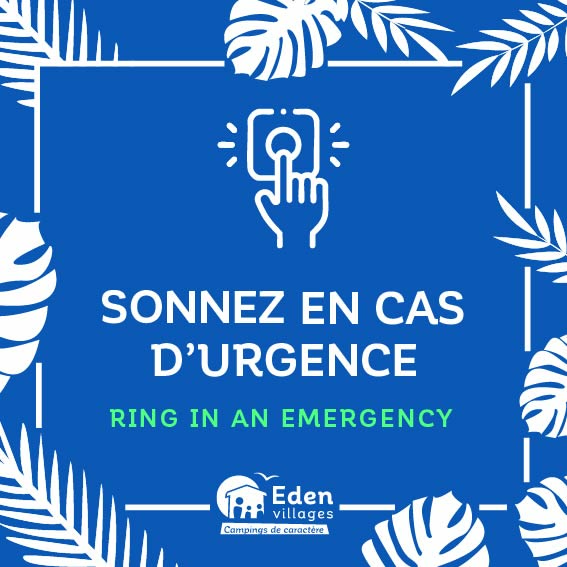 SITE_Interphone_urgence_fleurs_20x20cm